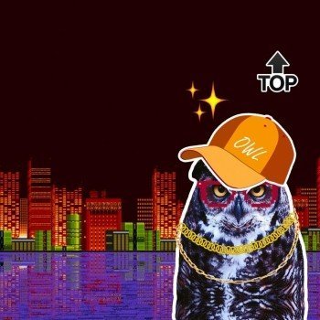 Наклейка на телефон OWL TOP [ BLACK SKY ]